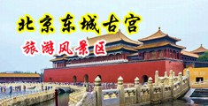 美女大白腿操逼掰开网址中国北京-东城古宫旅游风景区