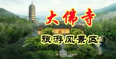 大鸡巴插嫩B中国浙江-新昌大佛寺旅游风景区